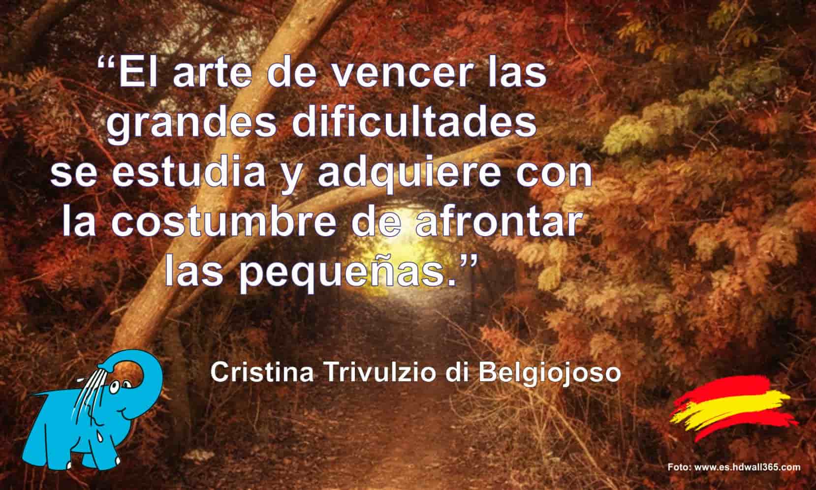  El arte de vencer las grandes dificultades se estudia y adquiere con la costumbre de afrontar las pequeñas.